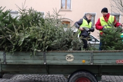 Christbaumaktion_2019_02