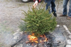christbaumaktion_2007_20121208_1720996726