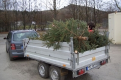 christbaumaktion_2008_20121208_1619715517