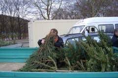christbaumaktion_2008_20121208_1829485533