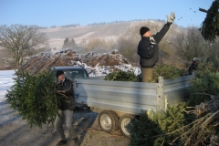 christbaumaktion_2009_20121208_1615618195