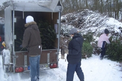 christbaumaktion_2010_20121208_1106042675
