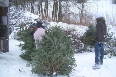 christbaumaktion_2010_20121208_1442556610