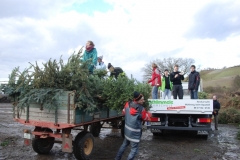 christbaumaktion_2011_20121208_1055085478