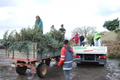 christbaumaktion_2011_20121208_1415233523