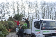 christbaumaktion_2011_20121208_1638261450