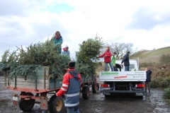 christbaumaktion_2011_20121208_1688987593