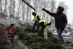 christbaumaktion_2013_20130123_1142212864