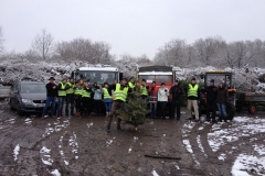 christbaumaktion_2013_20130123_1162392674