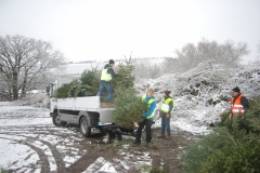 christbaumaktion_2013_20130123_1336544451
