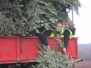 Christbaumaktion 2014