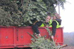 christbaumaktion_2014_10_20140116_1487237074