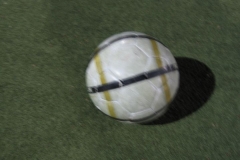maerz_2008_20121208_1502047139