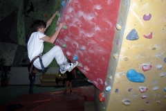 mitarbeiterklettern_in_der_kletterarena_20121208_1846035666