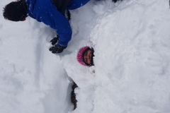 20190203_120645