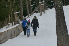skiausfahrt_2015_110_20150327_1524082308