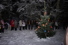 waldweihnacht_2010_20121208_2062390973