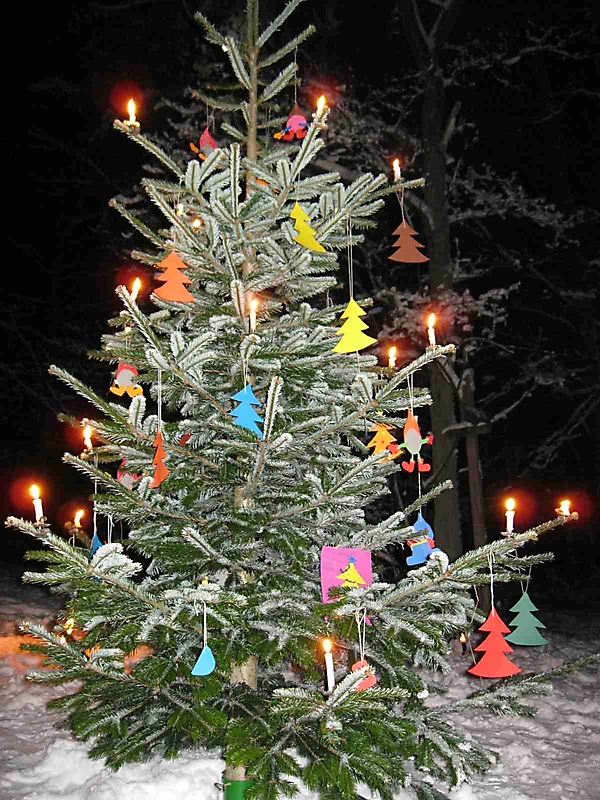 Waldweihnacht 2010