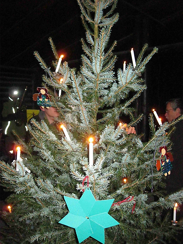 Waldweihnacht 2011