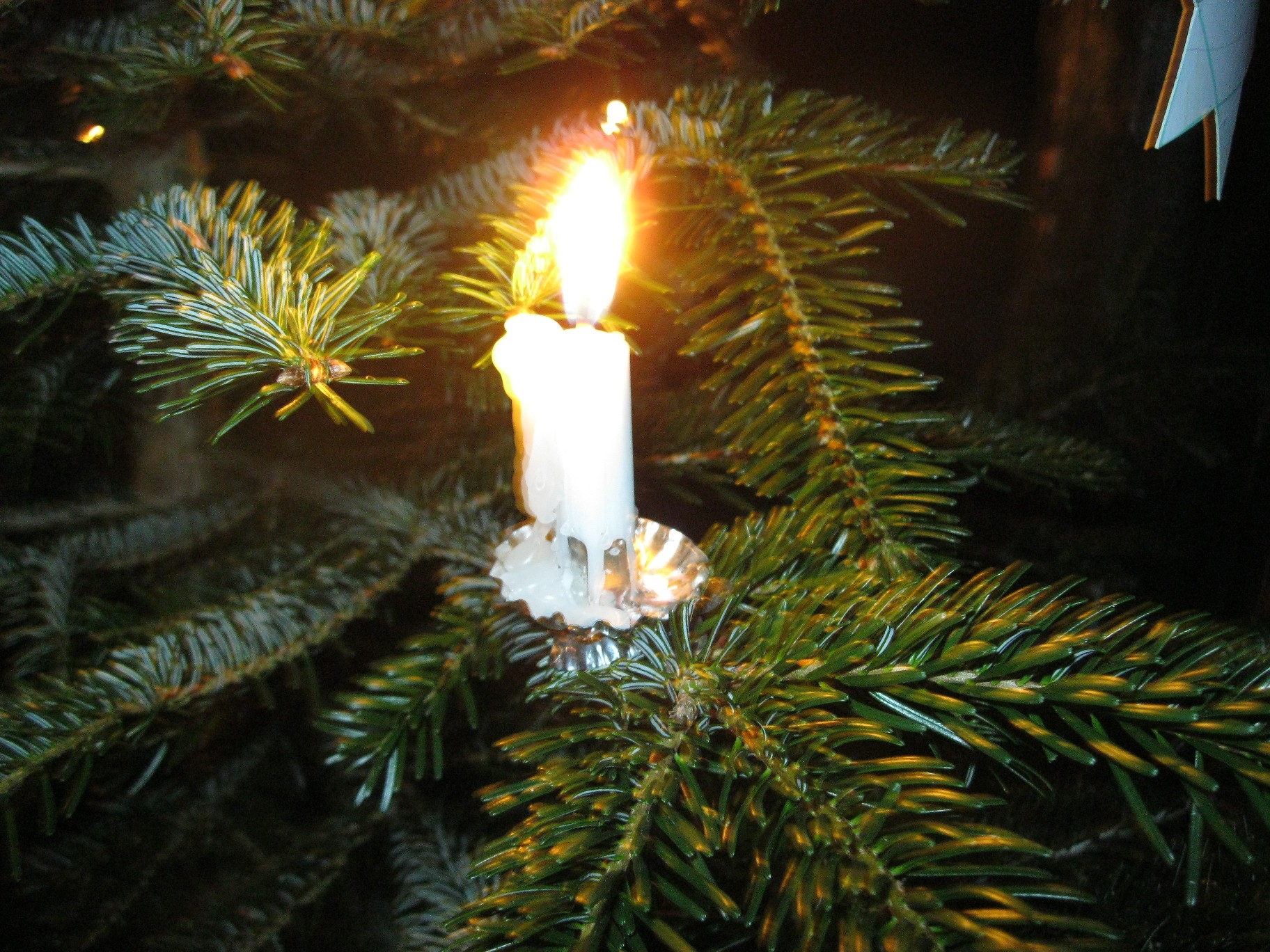 waldweihnacht2012 020