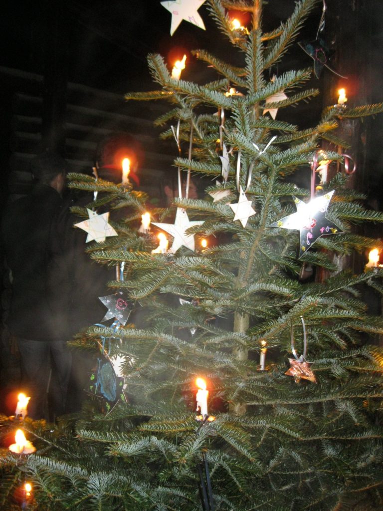 waldweihnacht2012 021
