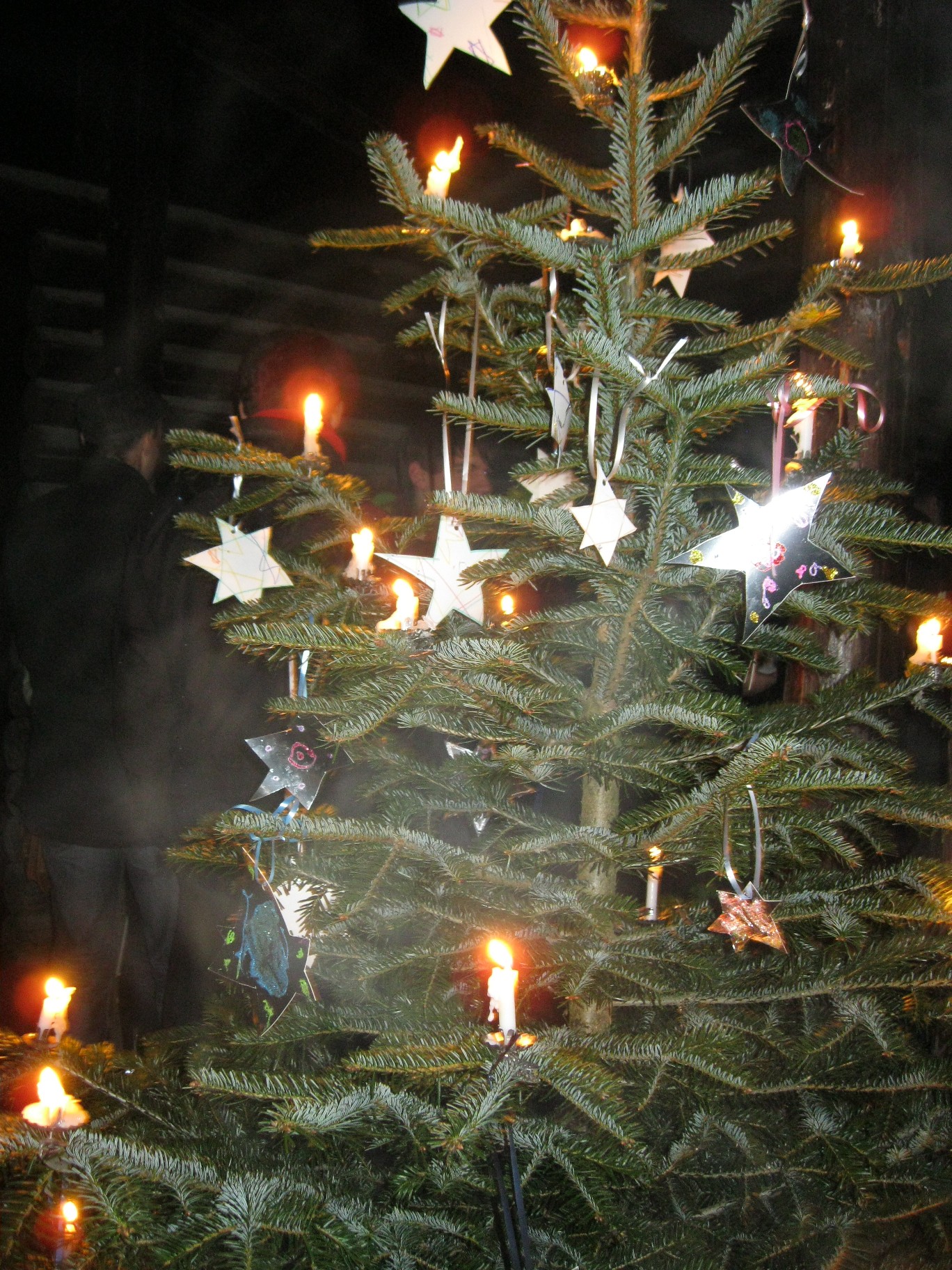 waldweihnacht2012 021