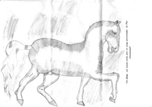 Pferd Plan